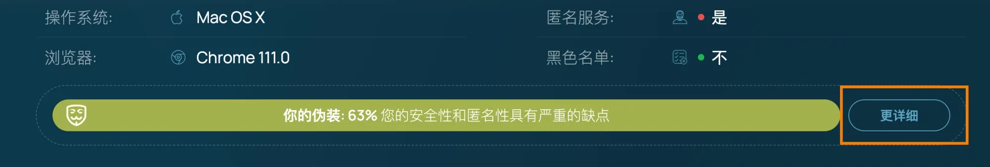 用于访问 Shopify 的 IP 不够安全