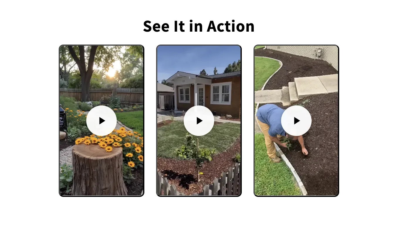 Shopify Video Reel